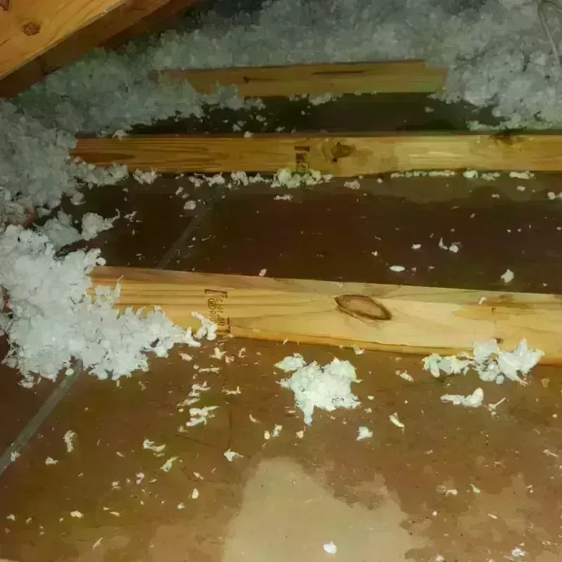 Attic Water Damage in Englewood, IL