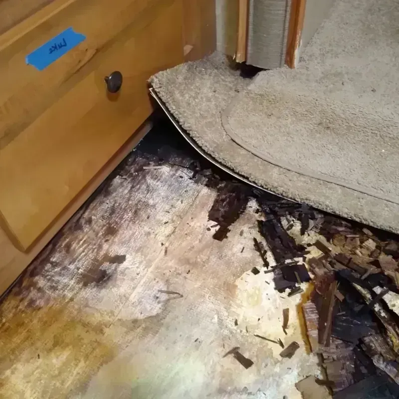 Wood Floor Water Damage in Englewood, IL